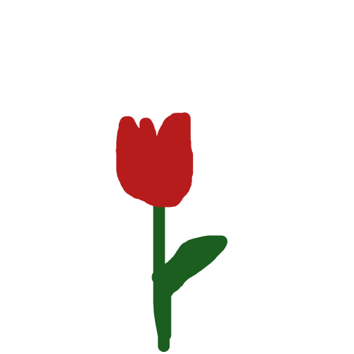 Tulip drawing by rose