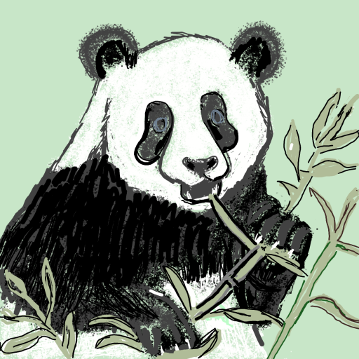 Panda drawing by manders