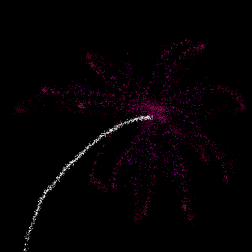 Firework drawing by bones