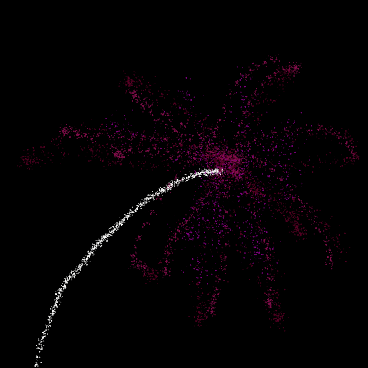 Firework drawing by bones