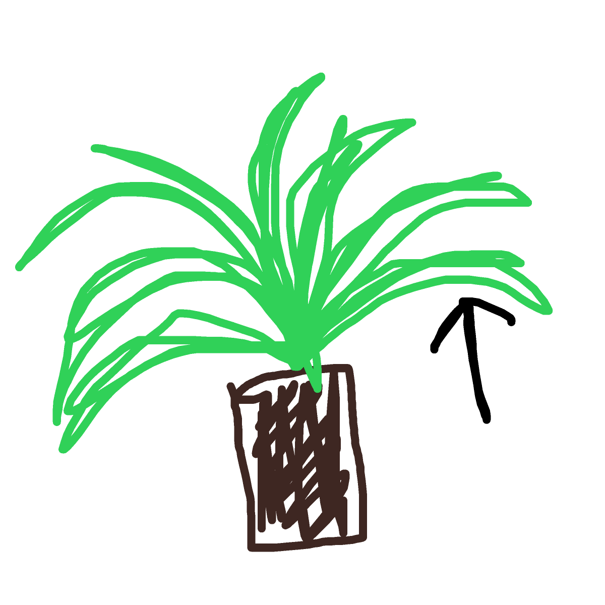 Leaf drawing by hayley