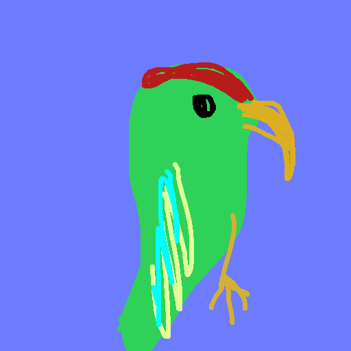Parrot drawing by grou
