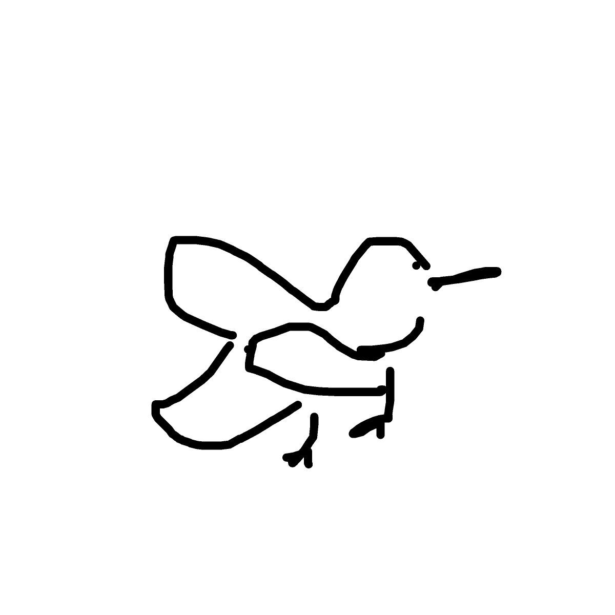 Hummingbird drawing by shaina