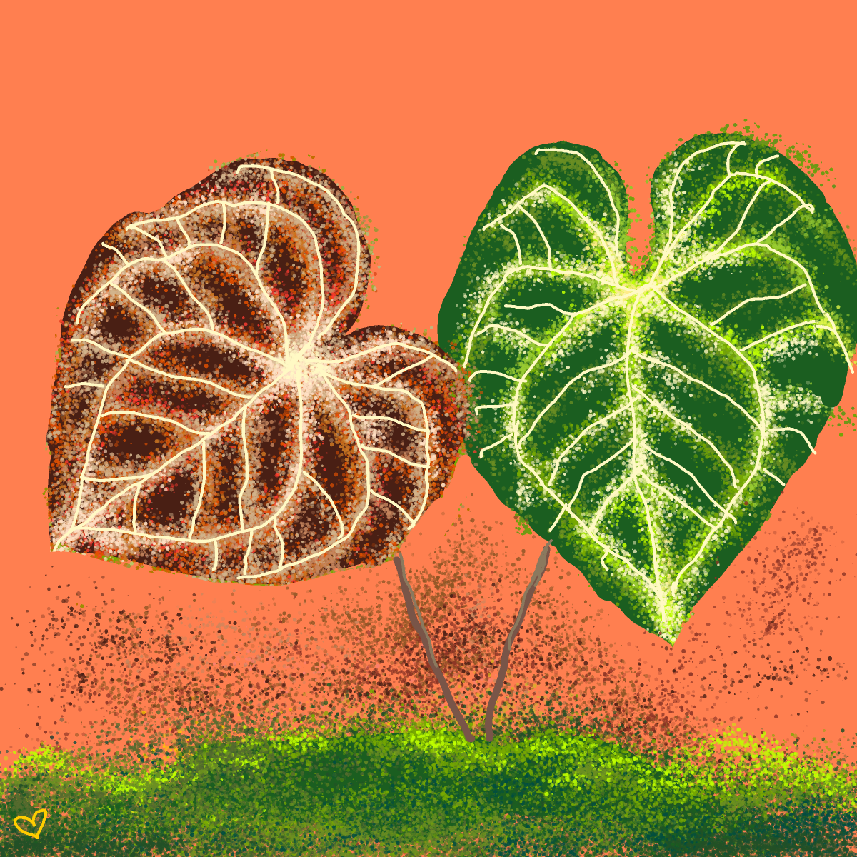 Leaf drawing by Soybean