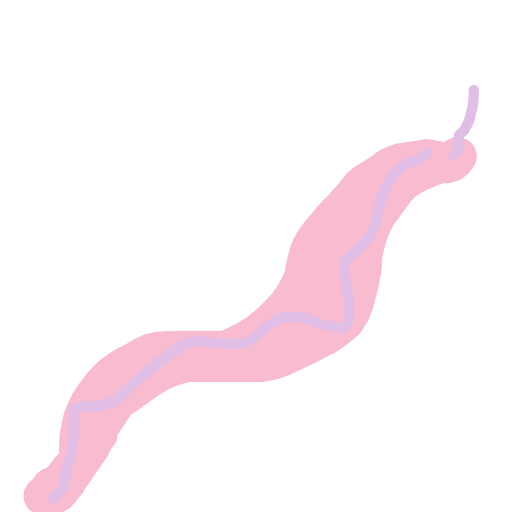 Worm drawing by neesh