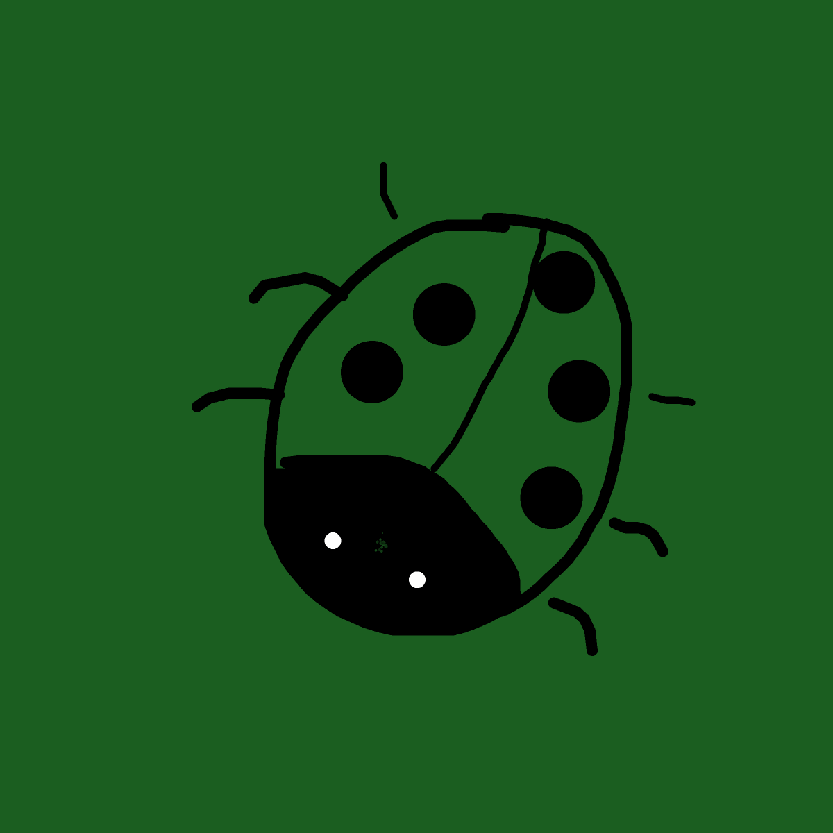 Ladybug drawing by matea
