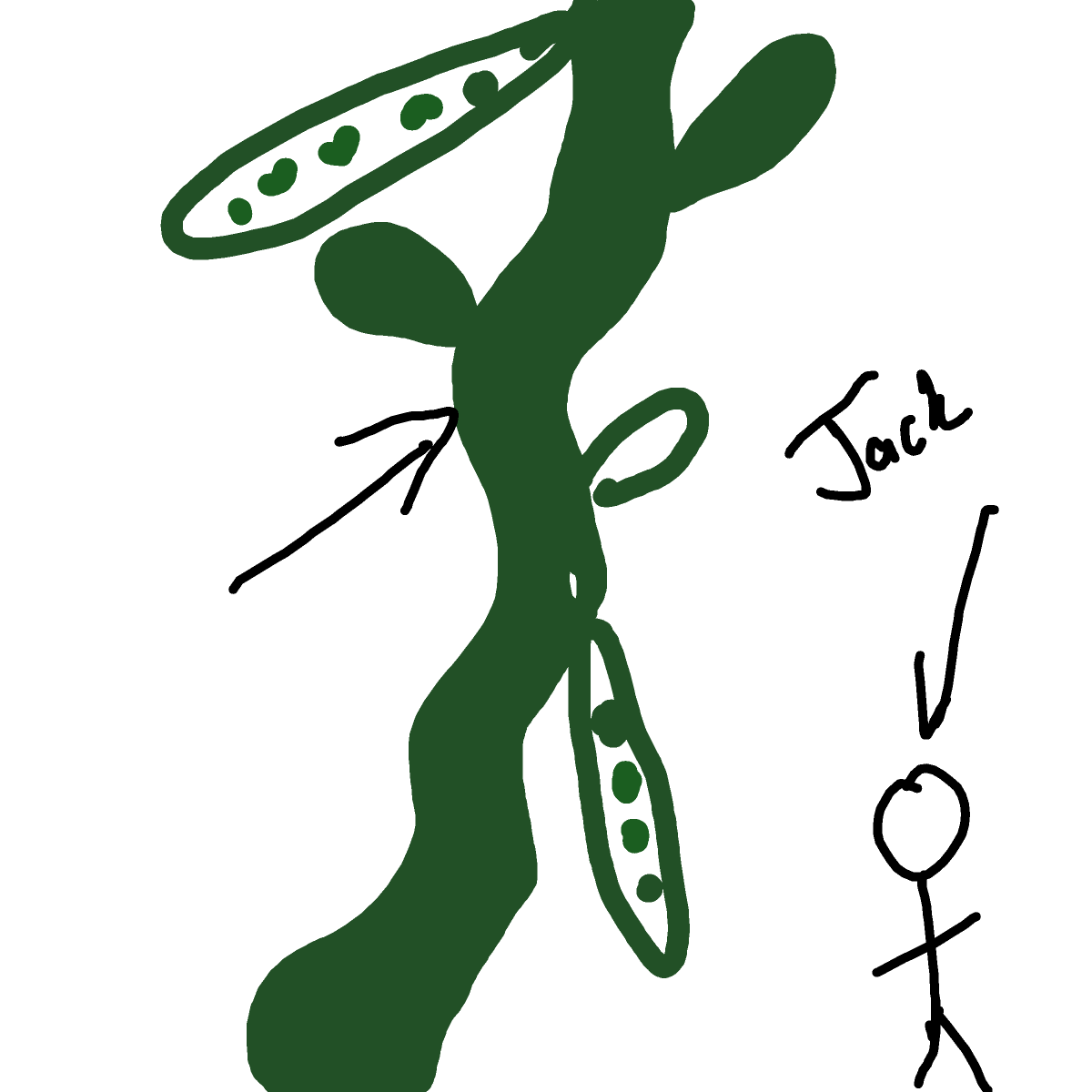 Beanstalk drawing by princess fiona