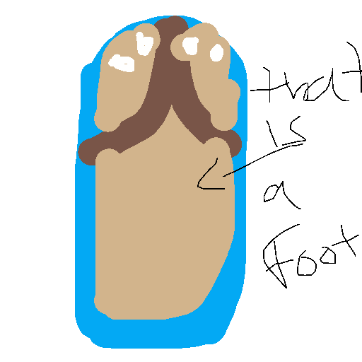 Flip Flop drawing by blue-alpha-rogue