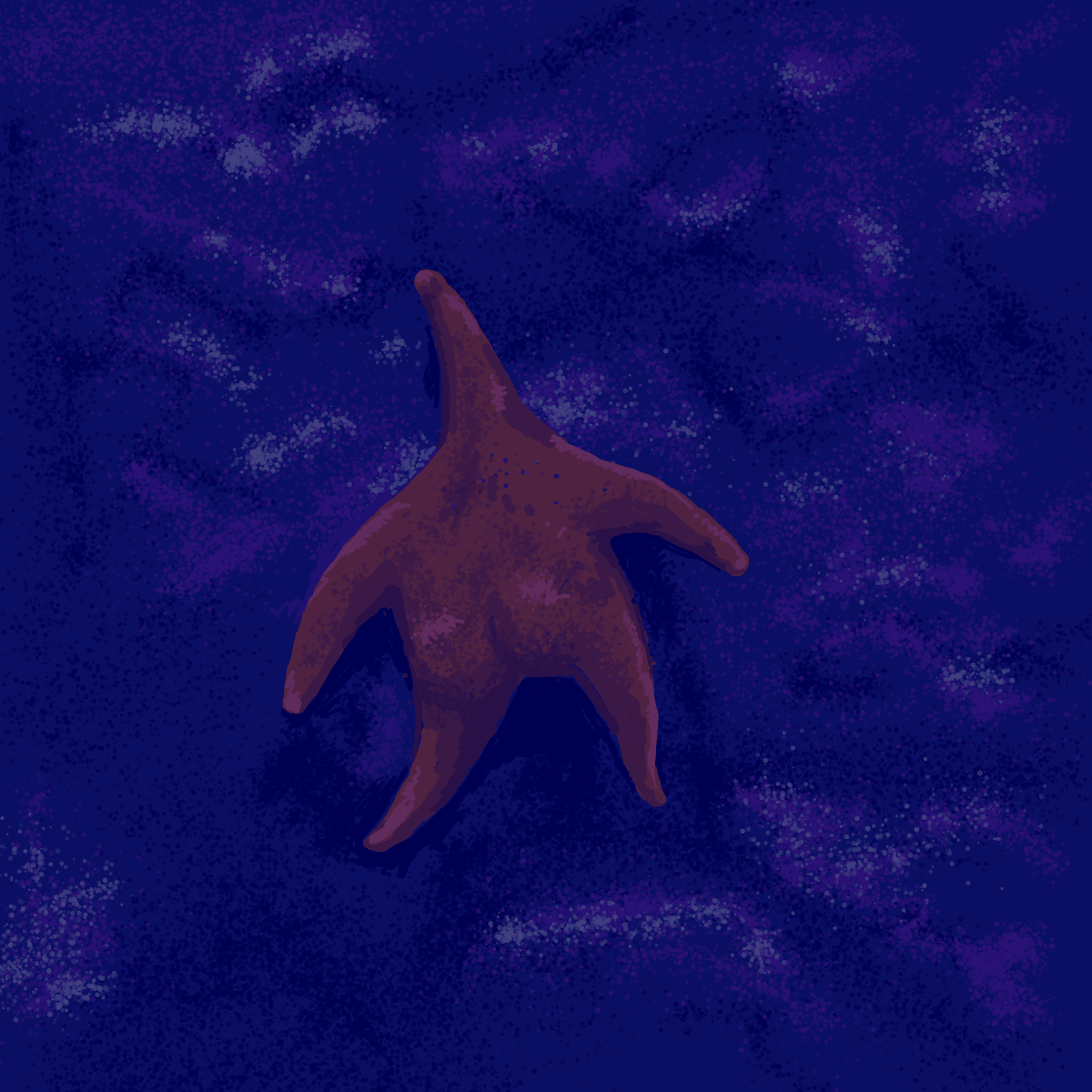 Starfish drawing by Soybean