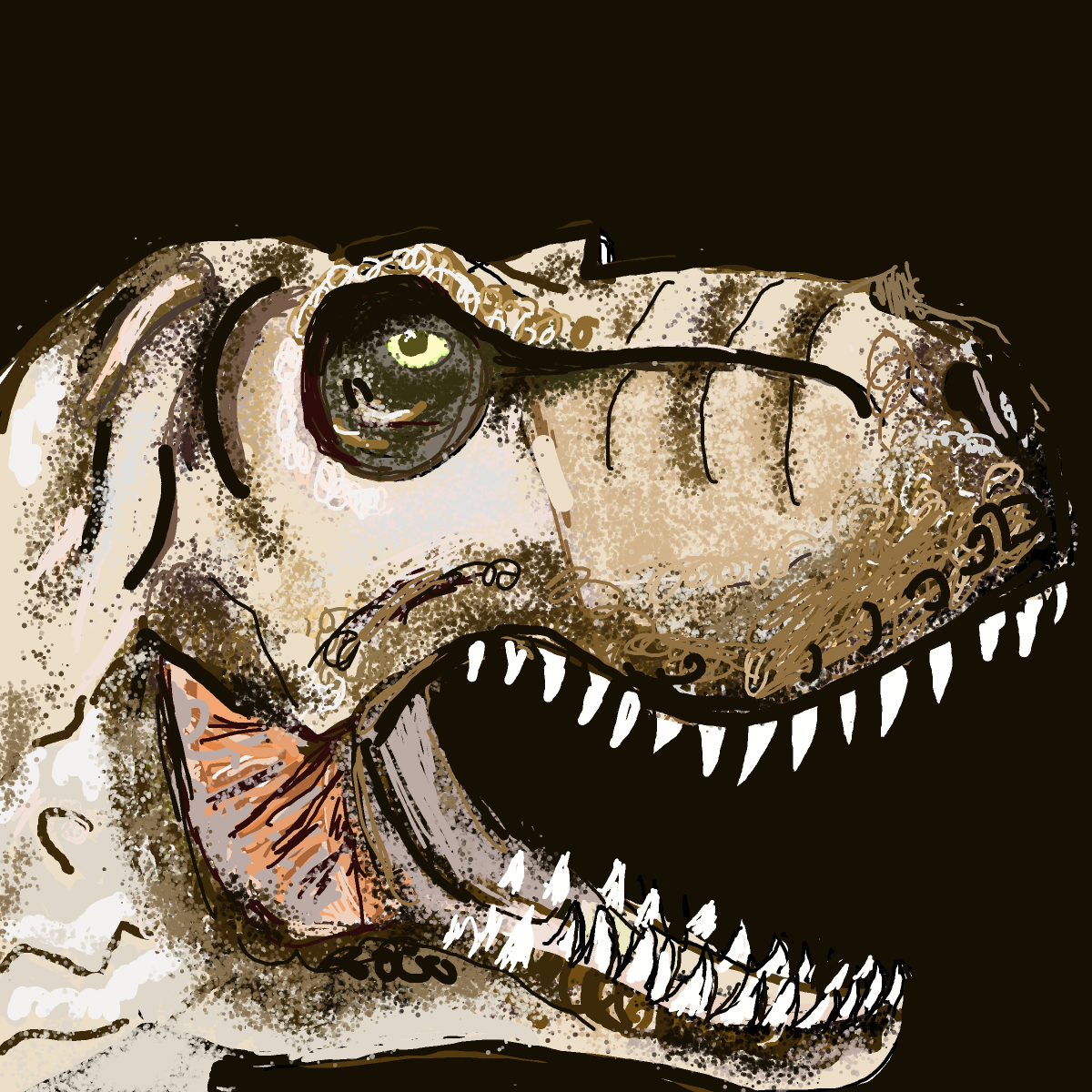 T-Rex drawing by manders