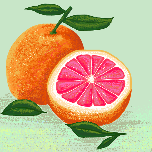 Grapefruit drawing by misty gris