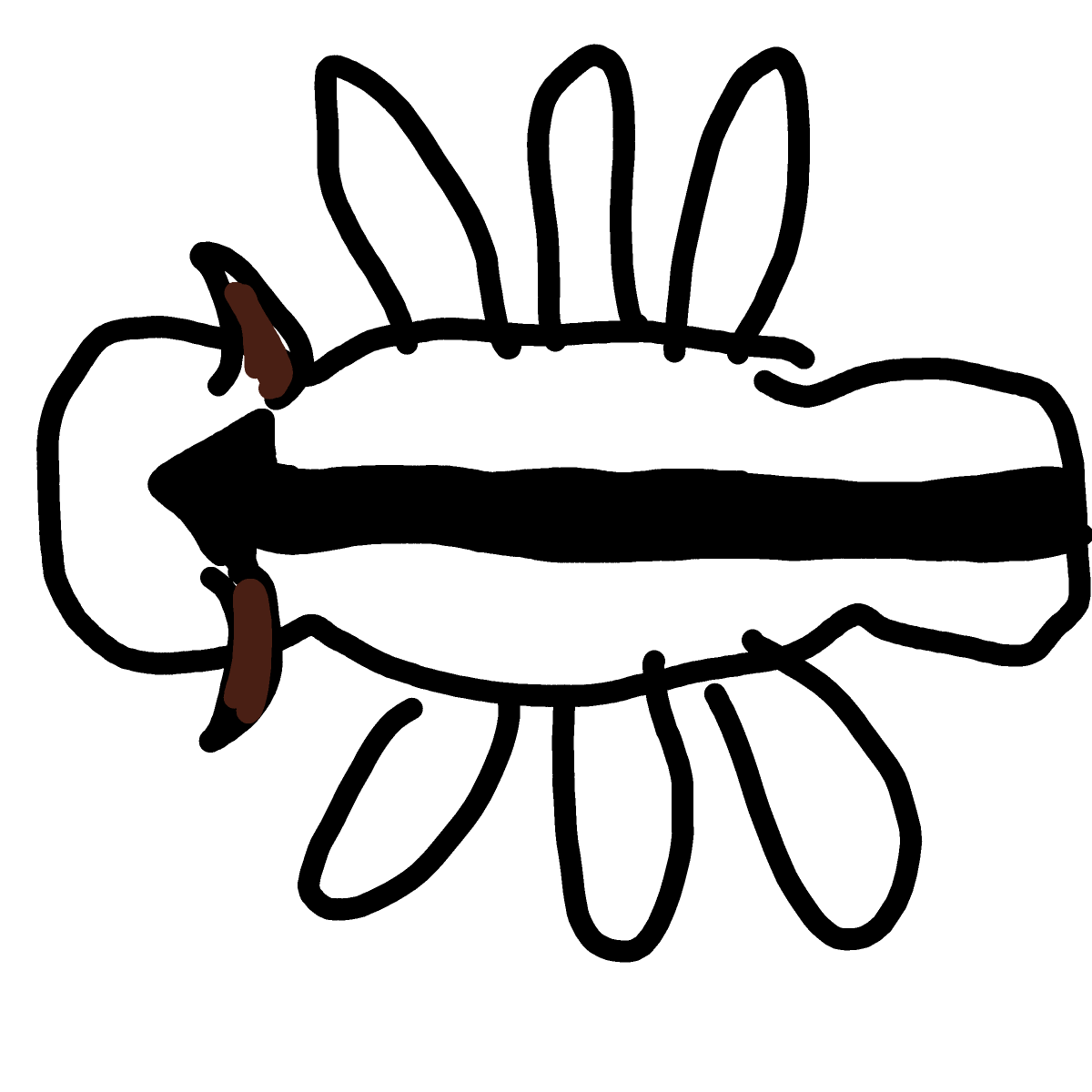 Appa drawing by Mrs O
