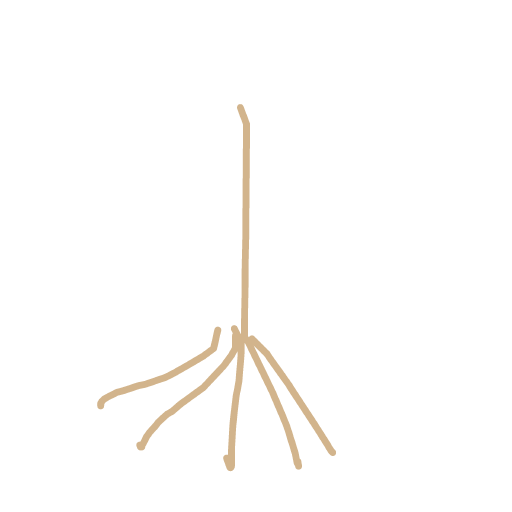Broomstick drawing by laiaaaaa
