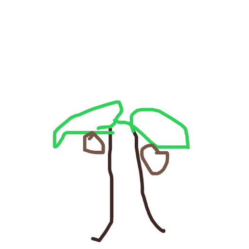 Palm Tree drawing by selecta