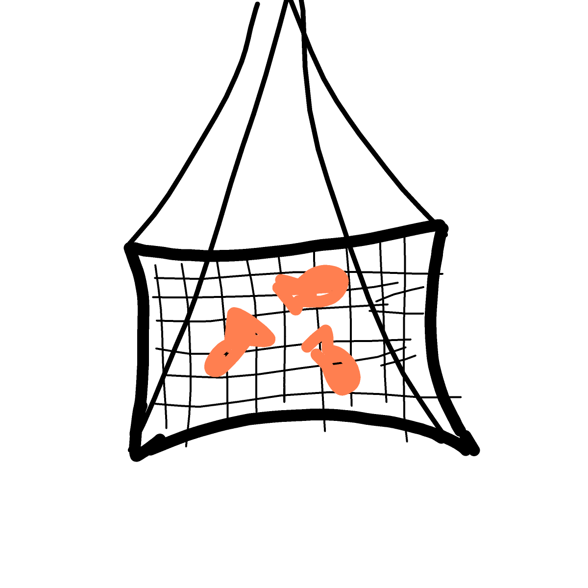 Net drawing by sonic-bold-major