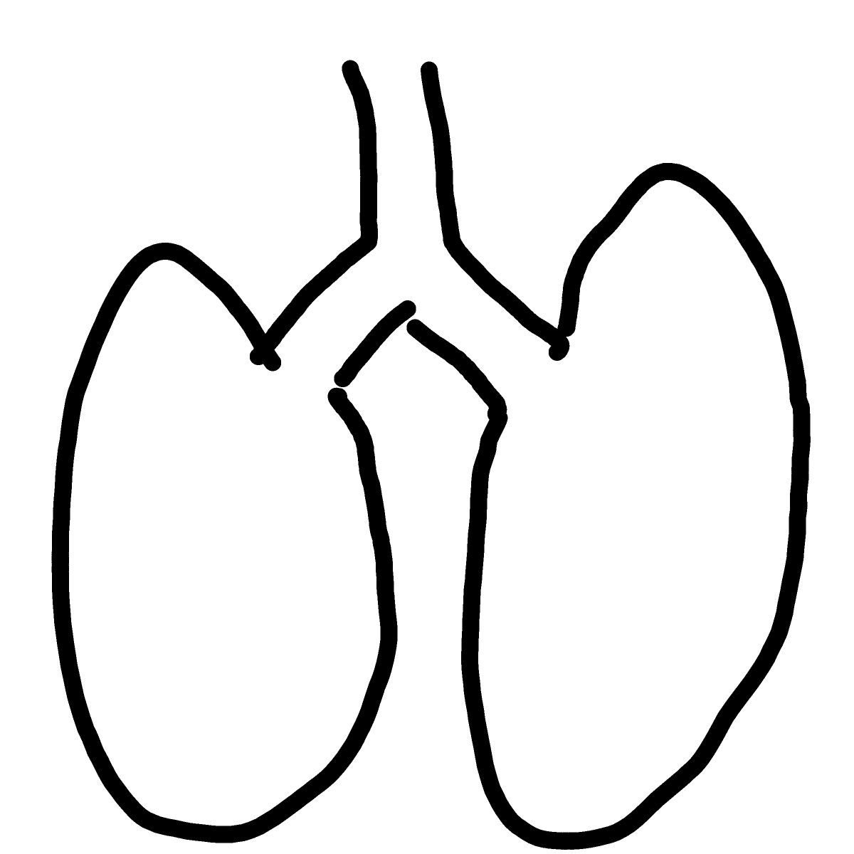 Lungs drawing by sonic-amber-way