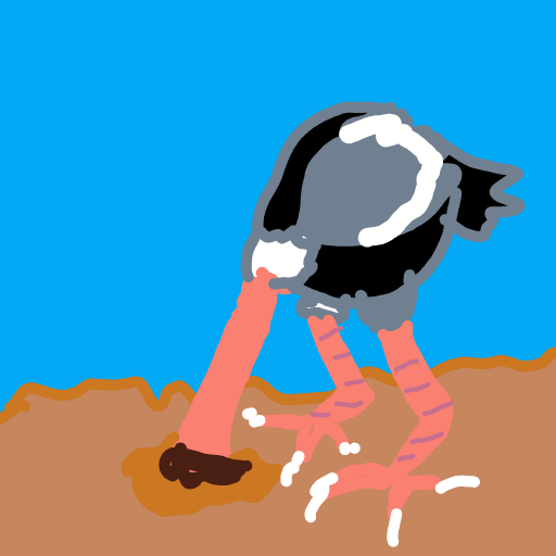 Ostrich drawing by Tessie