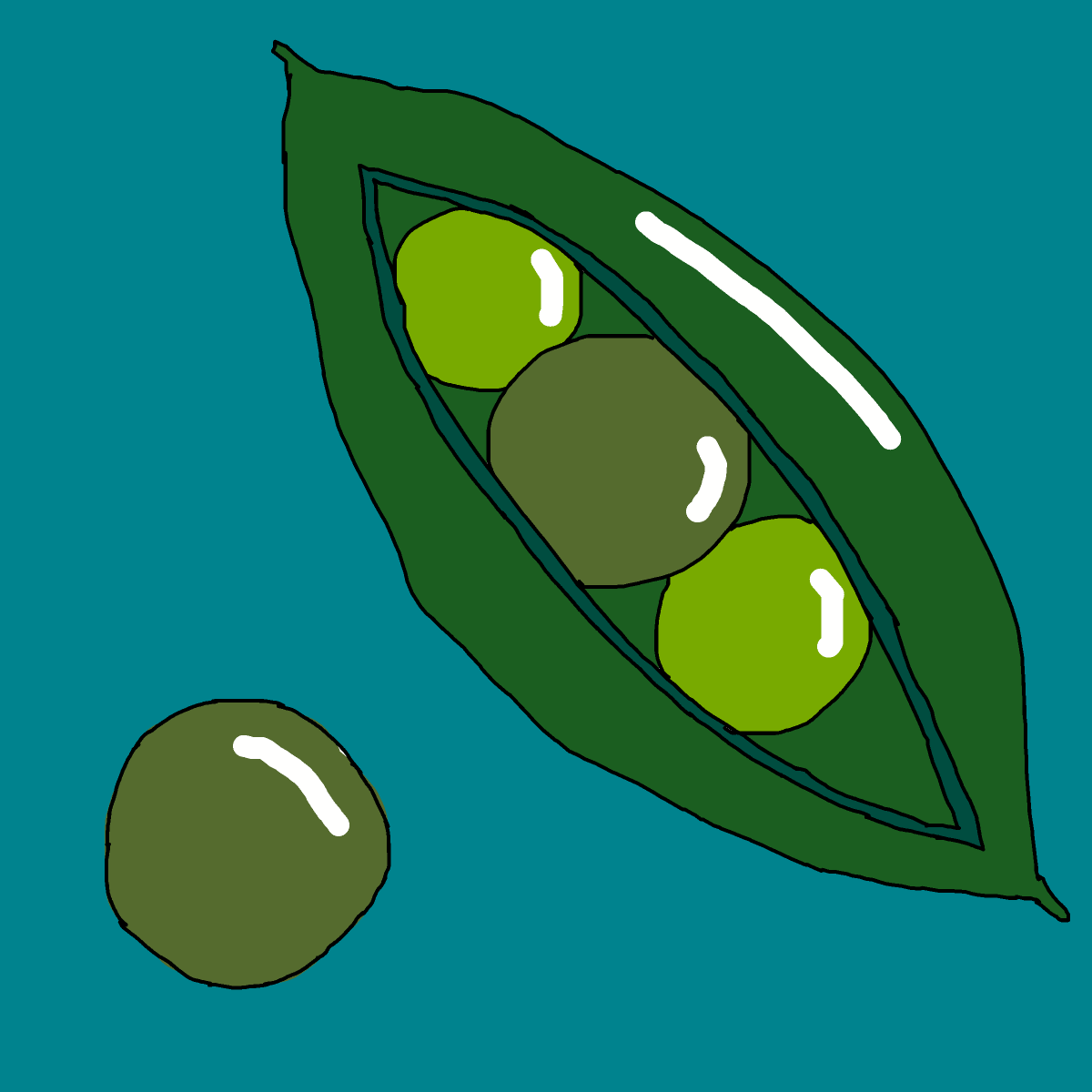 Peas drawing by krissywissy