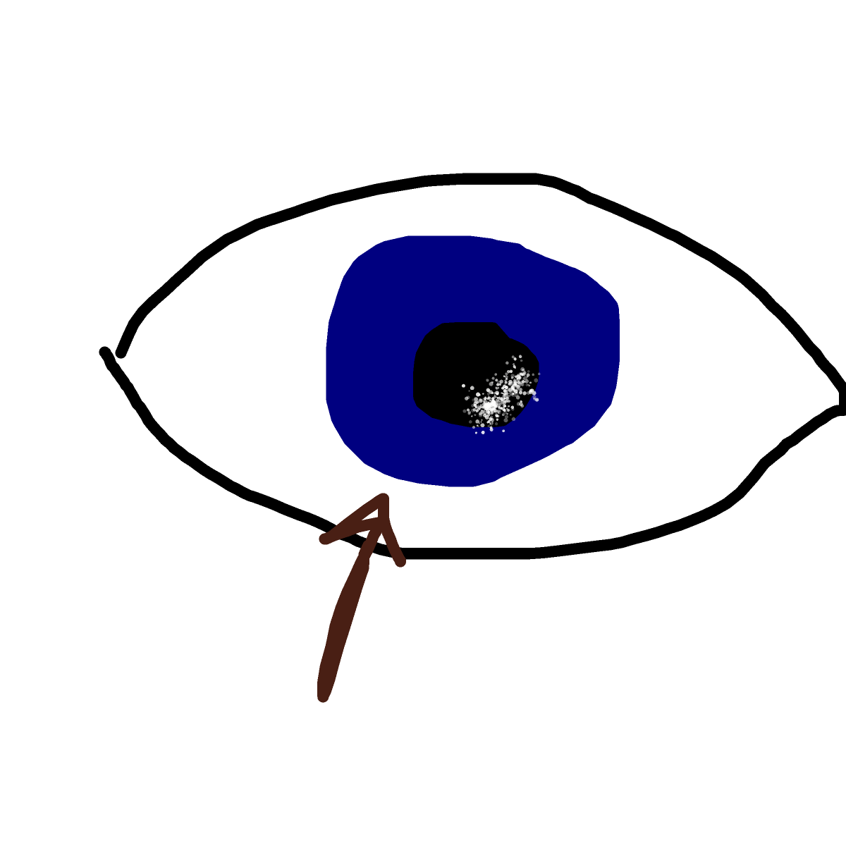 Iris drawing by tirza