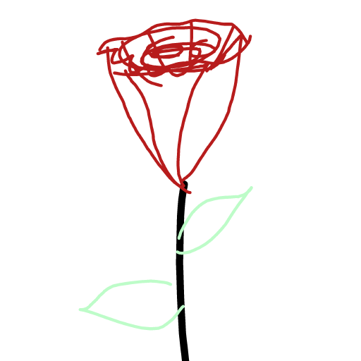 Rose drawing by Gabriella