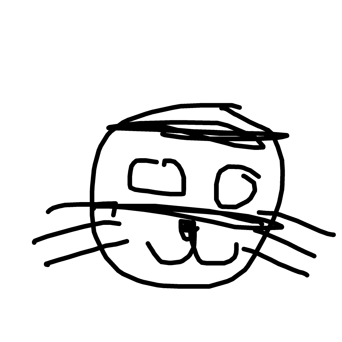 Raccoon drawing by arnaholm