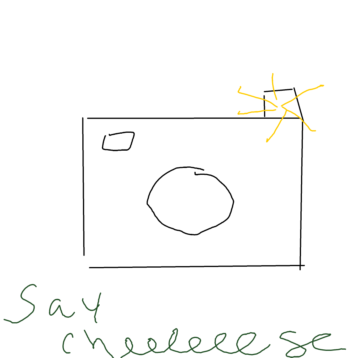 Camera drawing by Shandi