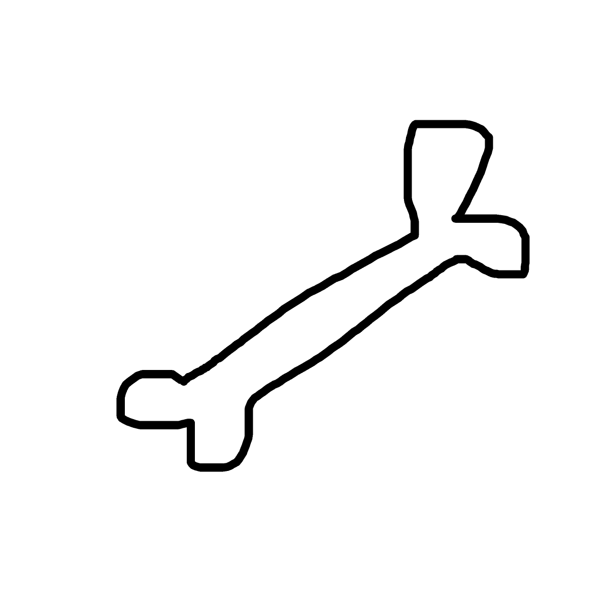 Bone drawing by isi