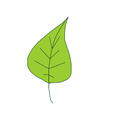 Leaf drawing by hen