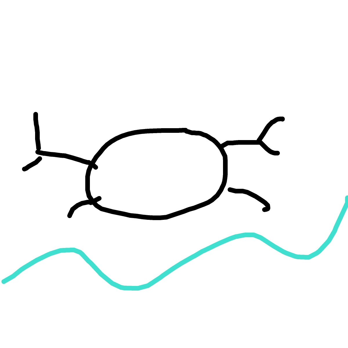 Crab drawing by bia