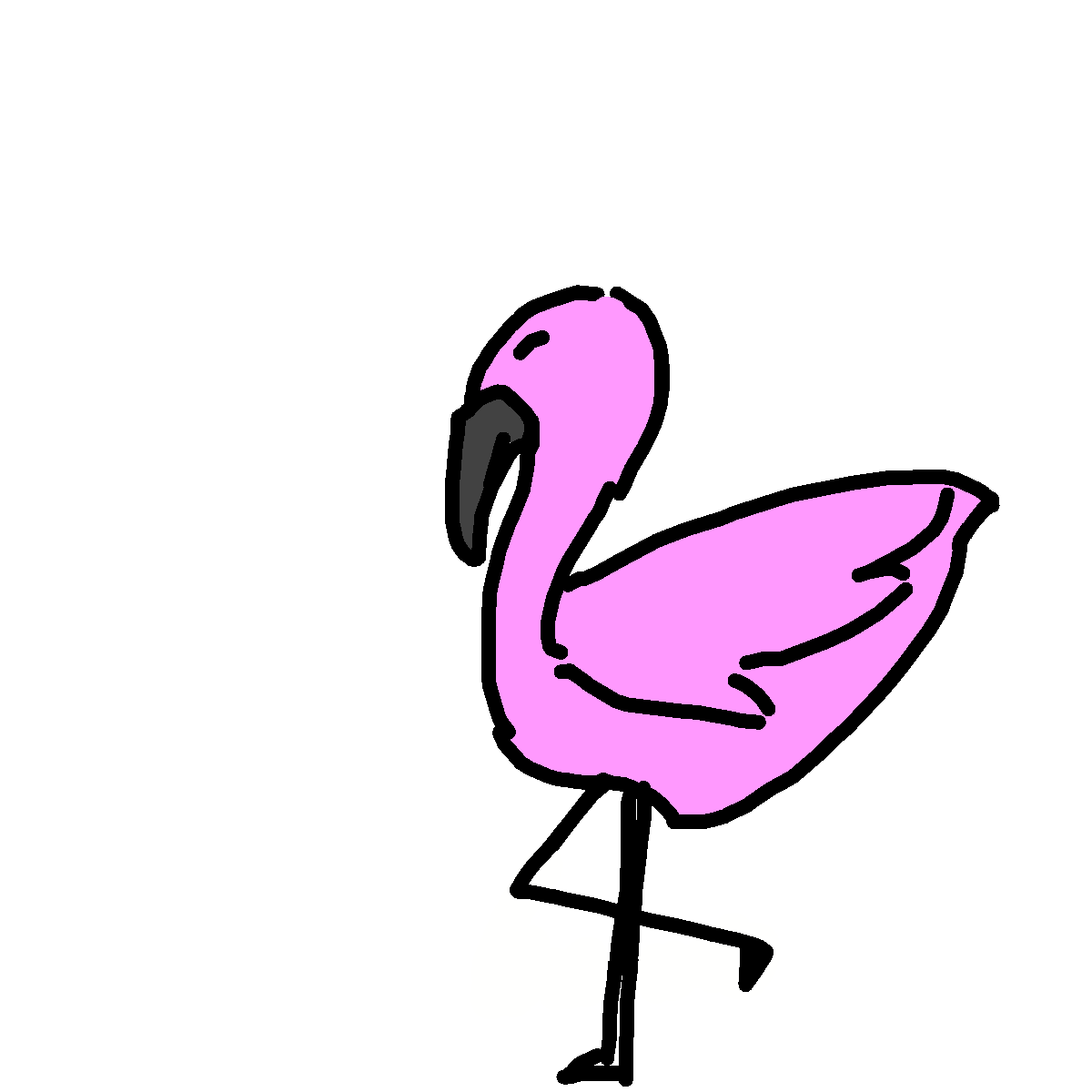 Flamingo drawing by nammy