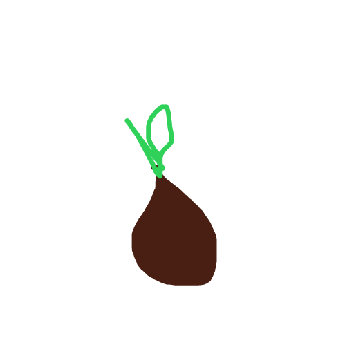 Seed drawing by pikapikachuu