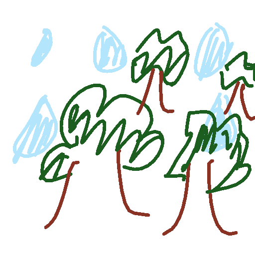 Rainforest drawing by theodore