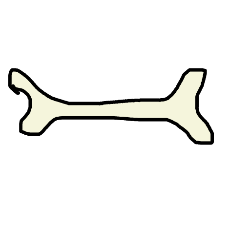 Bone drawing by mikestam195