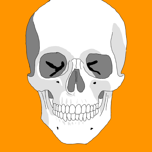 Skull drawing by Guardianoflives