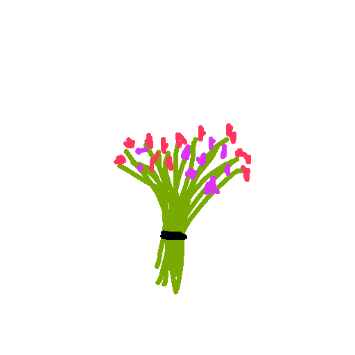 Bouquet drawing by pancakes palette