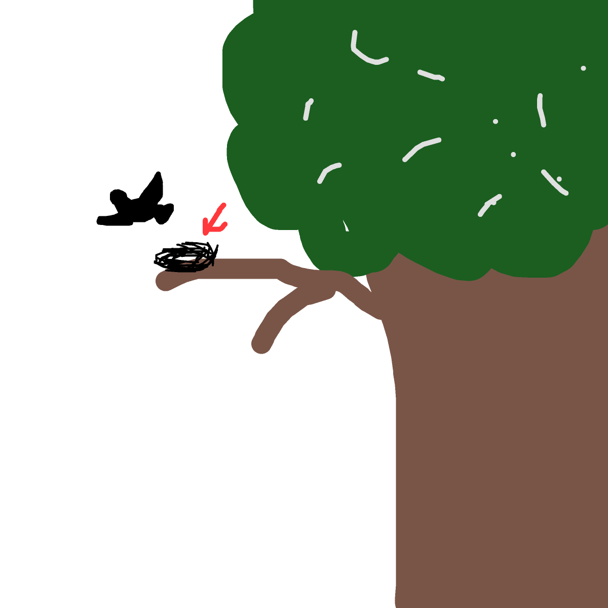 Bird Nest drawing by drewbenruben