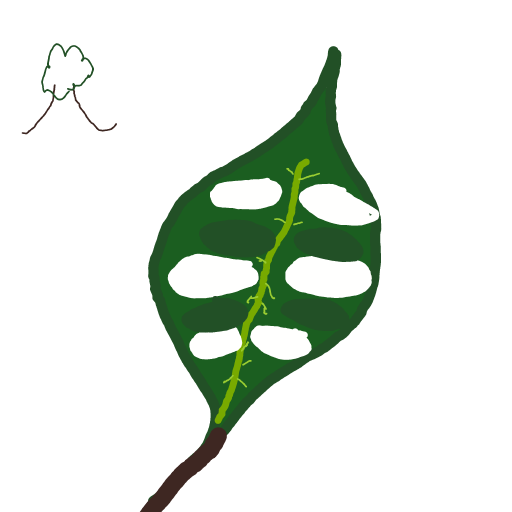Leaf drawing by ismael