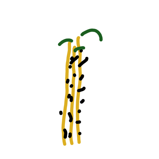 Bamboo drawing by open-mega-crown