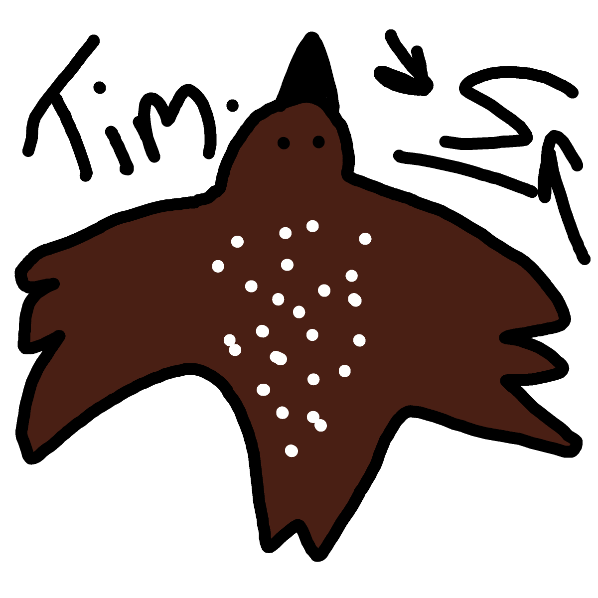 Starling drawing by Timmie