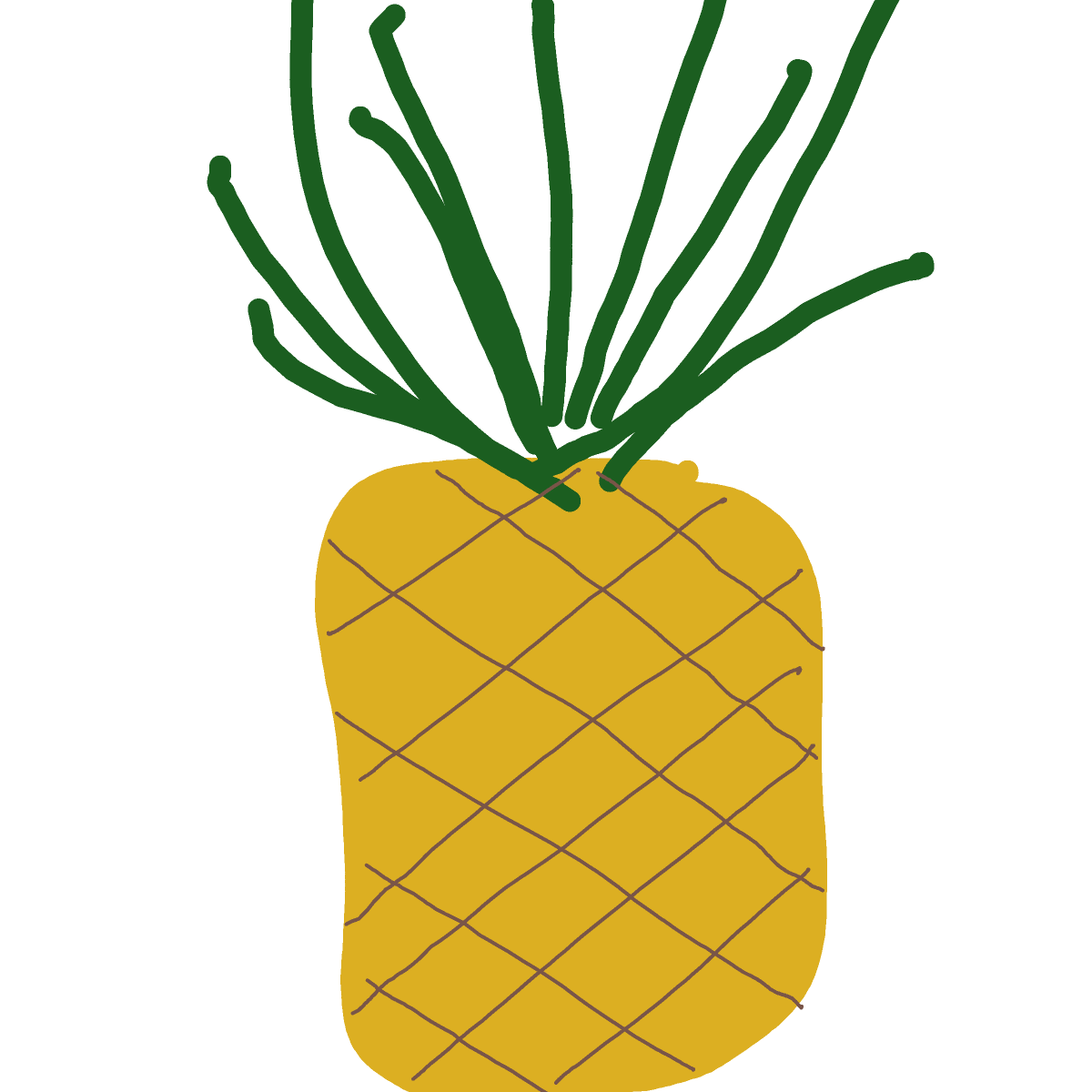 Pineapple drawing by Shandi