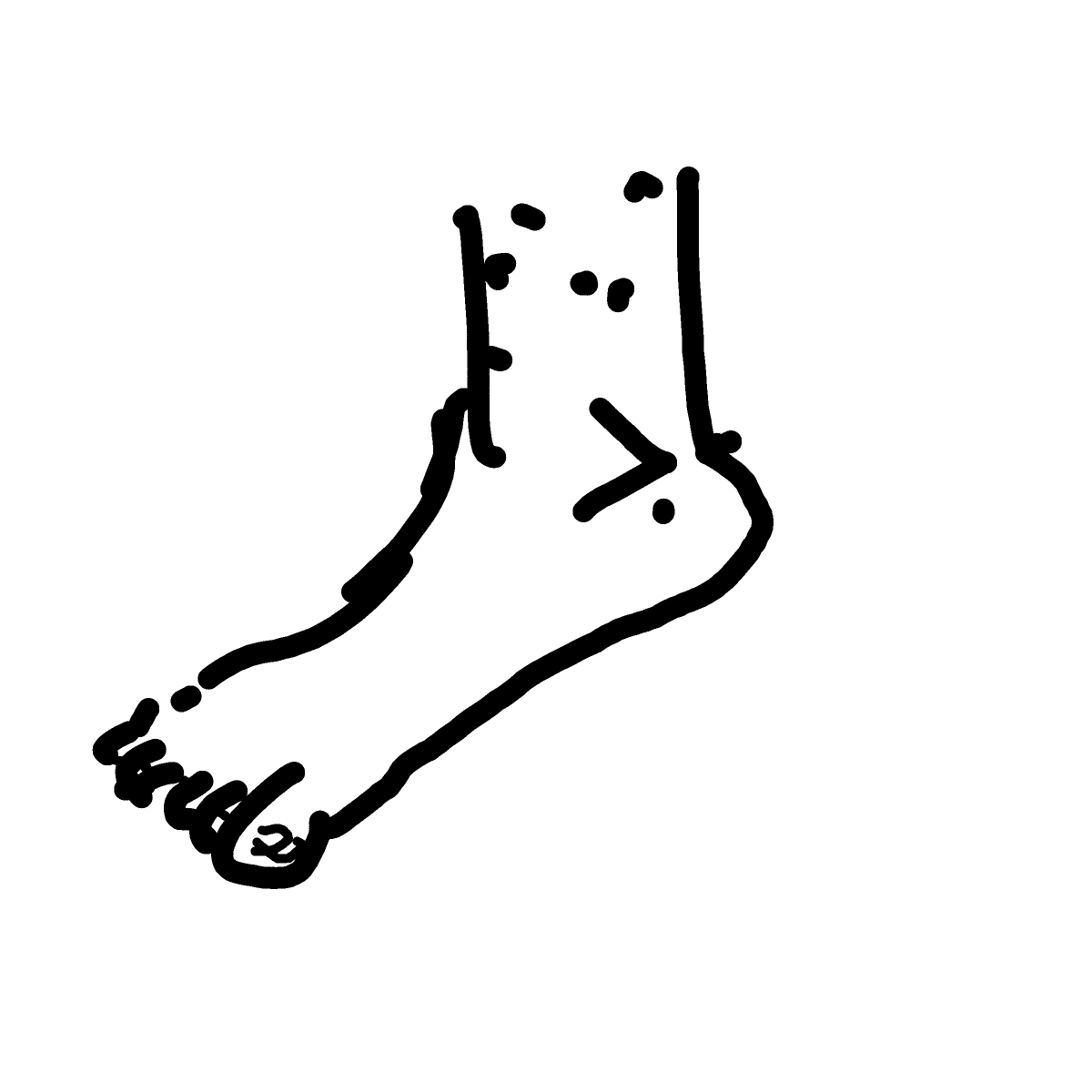 Foot drawing by Shew
