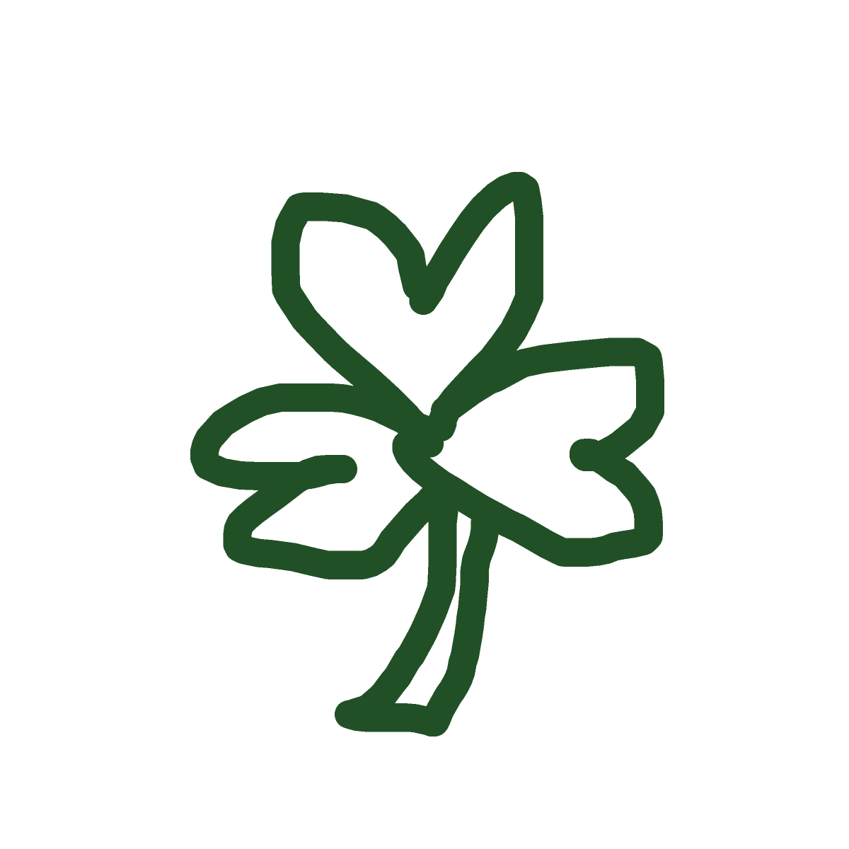 Shamrock drawing by jester