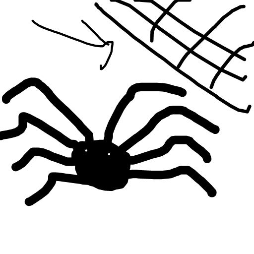 Spider Web drawing by rose