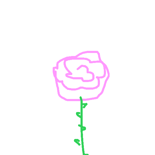 Rose drawing by grou