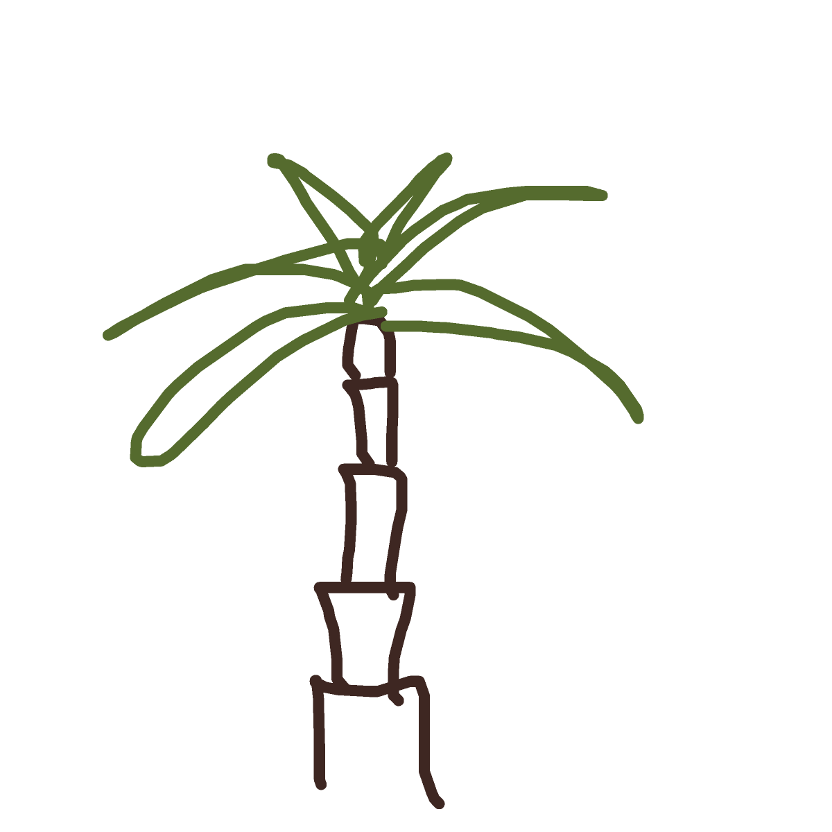 Palme drawing by sun-sand-lab