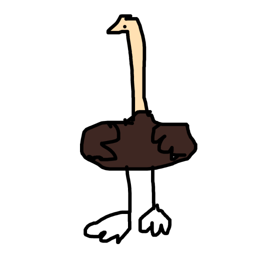 Ostrich drawing by nyca