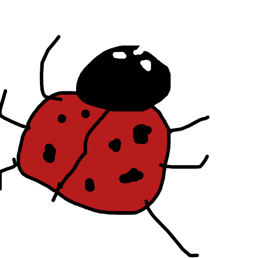 Ladybug drawing by troy
