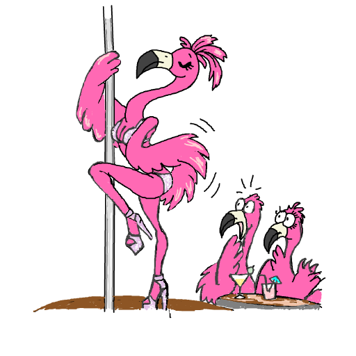 Dancing Flamingo drawing by manders