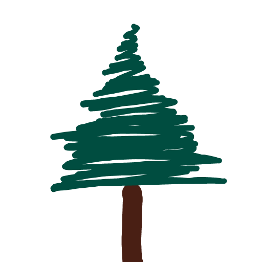 Pine Tree drawing by Shandi