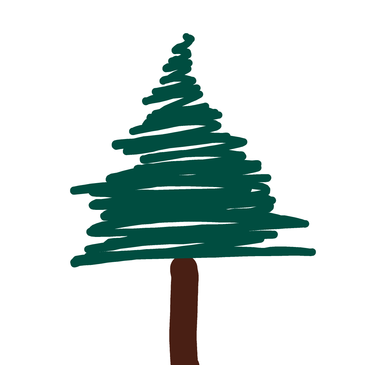 Pine Tree drawing by Shandi